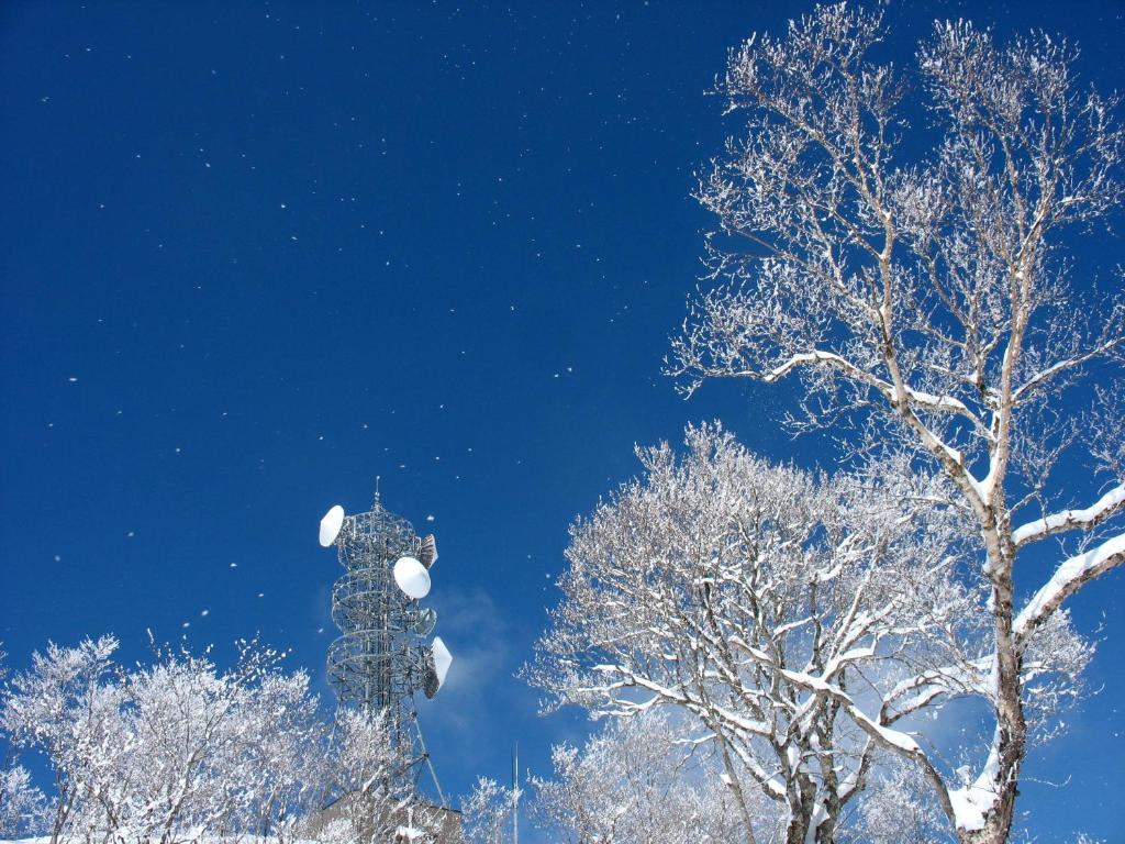 Nozawa Onsen Hotel Extérieur photo